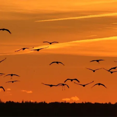 Duenenperle Дом отдыха *