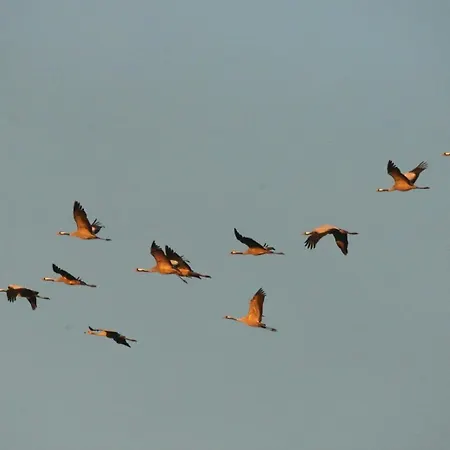 Duenenperle Дом отдыха