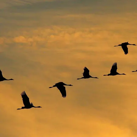 Duenenperle Дом отдыха